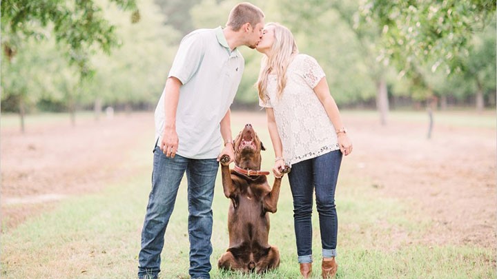 Sweet Engagement Session With Chocolate Lab Desktop Image